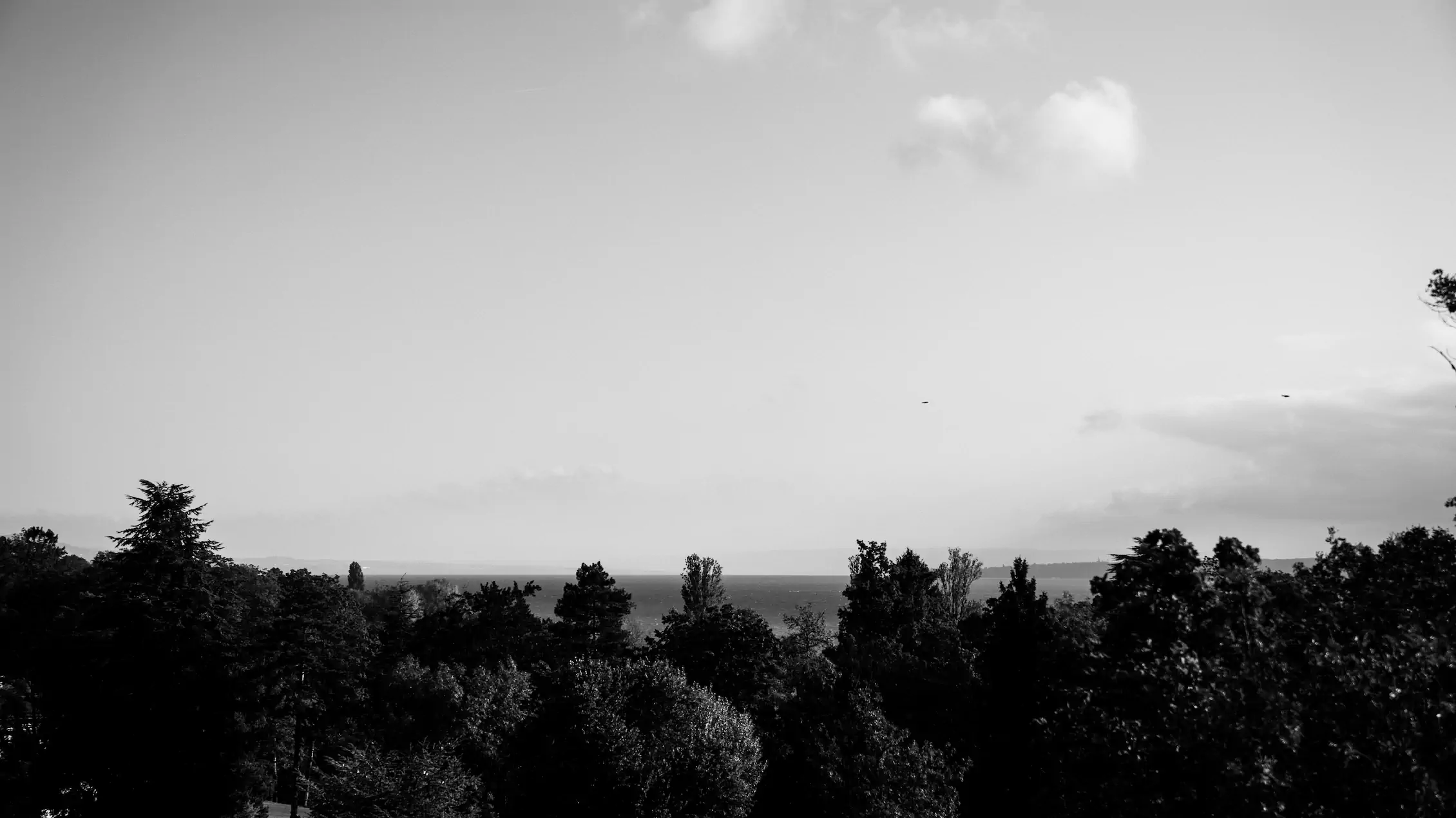 office view 1 bw landscape 16x9