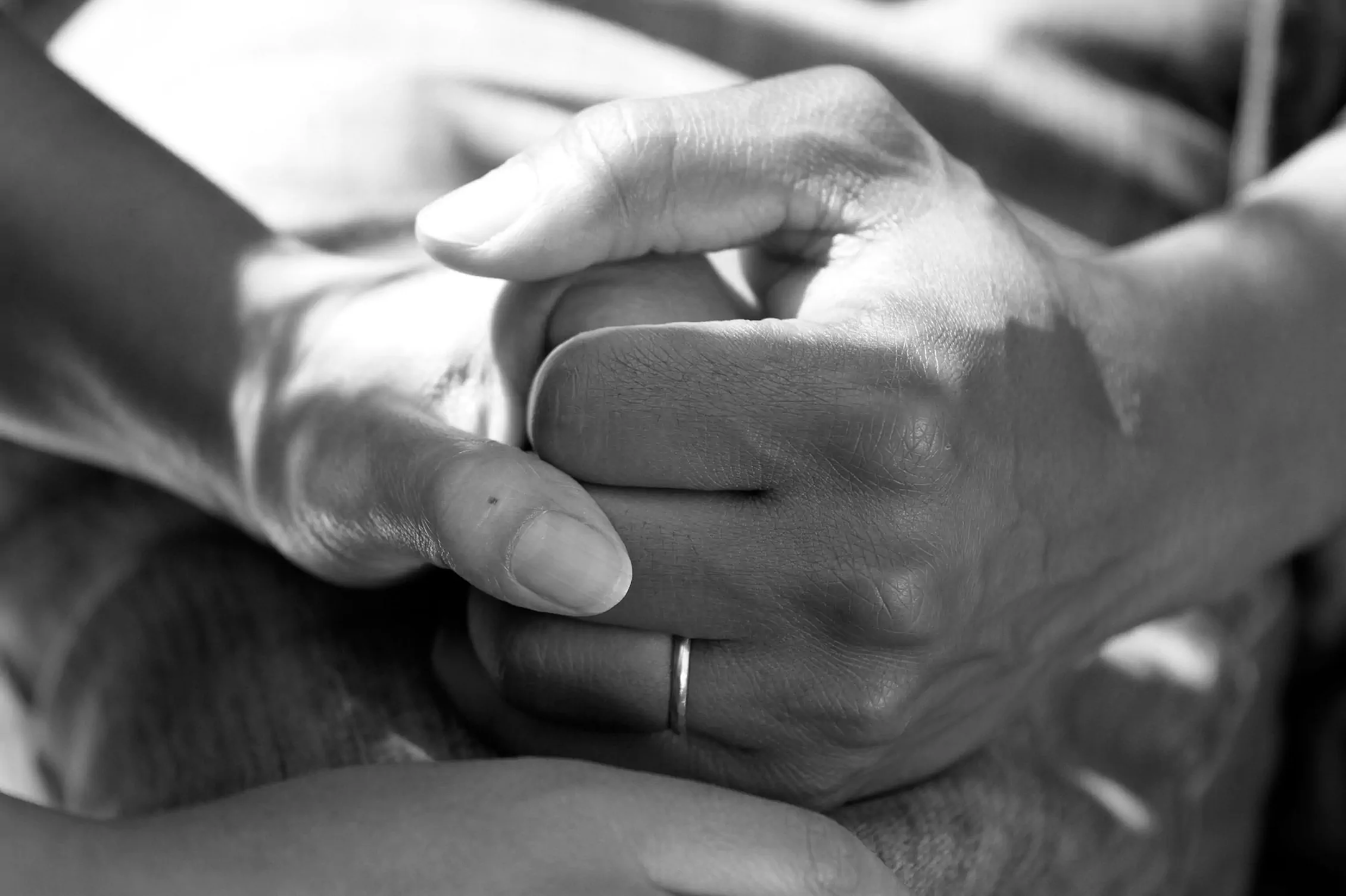 handshake bw landscape 3x2