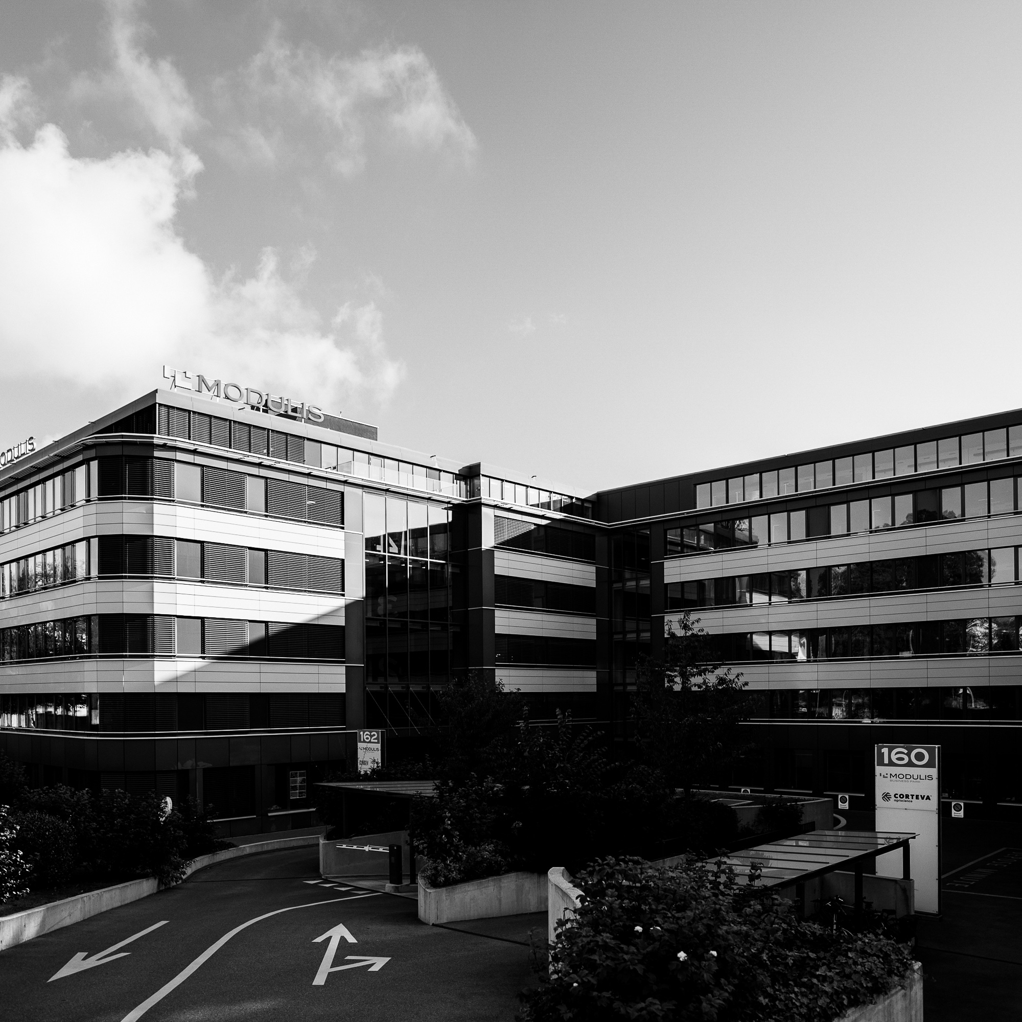 office 8 bw square